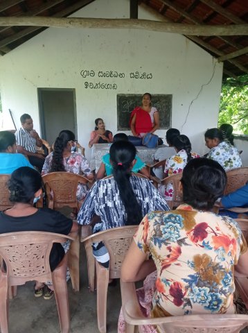 සබන් නිෂ්පාදන පුහුණු වැඩසටහන